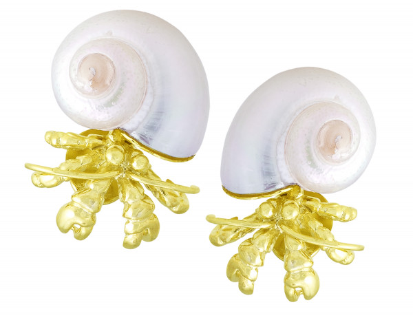 Divine Feathers Natural Seashell Earrings at Rs 50/pair in Bhavnagar | ID:  21565700012
